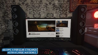 Streamer Simulator screenshot 5