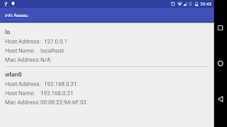 Network Info syot layar 1