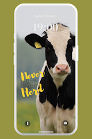 Cute Cow Wallpaper 4K পোস্টার