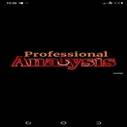 Professional Analysis screenshot 2
