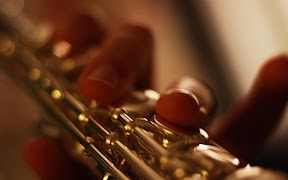 Flute Lessons اسکرین شاٹ 3