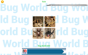 InsectSpider Quest 360 اسکرین شاٹ 7