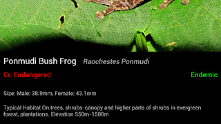 Frog Find スクリーンショット 3