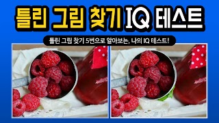 틀린그림찾기 IQ테스트 Screenshot 4