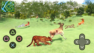 Serangan Cheetah Liar 3D penulis hantaran