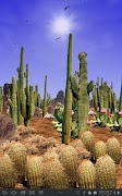 Desert Live Wallpaper screenshot 1