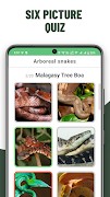 Snakes Quiz - Identify Snake スクリーンショット 7