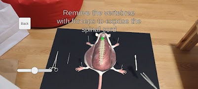 Mouse Dissection AR ภาพหน้าจอ 5
