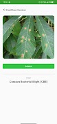 Cassava Leaf Disease скриншот 3