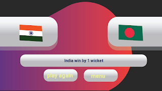 برنامهنما Real Cricket Experience عکس از صفحه