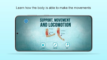 Poster Support, Movement & Locomotion