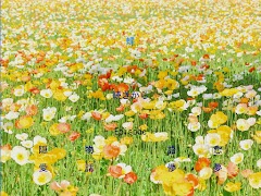 サウンドノベル「蝶」 スクリーンショット 5