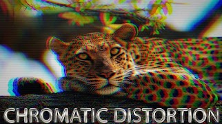 Distorted Video & Image imagem de tela 2