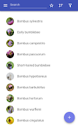 Bumblebees screenshot 5