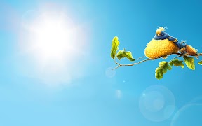 Fun Live Wallpaper 截圖 6