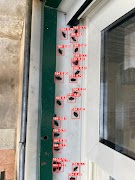 MyEntomologist اسکرین شاٹ 4