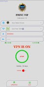 PRINC VIP الملصق