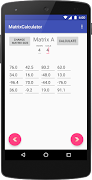 Matrices Calculator screenshot 1