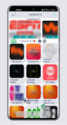 Libre FLTV Play скриншот 4