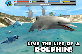 Dolphin Simulator screenshot 1