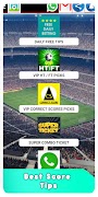 Mega Correct Scores 截图 1