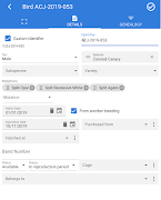 1 Schermata Birds Evolution