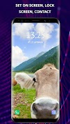 Funny wallpapers for phone اسکرین شاٹ 4