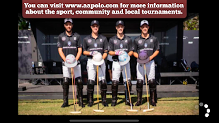 Polo Game captura de pantalla 1