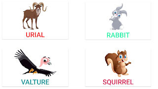 Basic Language Learning screenshot 7