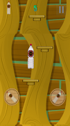 Bottle Challenge screenshot 4