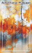 Auto Change Wallpaper اسکرین شاٹ 2