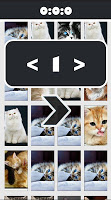 Cat Picture Matching poster