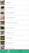 Zoopedia Cartaz