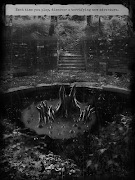 Shadow House 截图 3