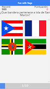 Fun with Flags captura de pantalla 3