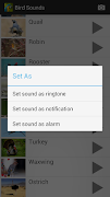 Bird Sounds screenshot 4