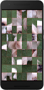 Puzzles (Jigsaw) स्क्रीनशॉट 4