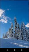 Schnee Themen Screenshot 2