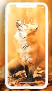 papel de parede de raposa imagem de tela 1