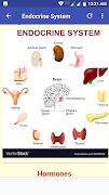 All Body Systems screenshot 6