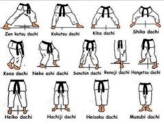 Kỹ thuật di chuyển Karate cơ bản ảnh chụp màn hình 6