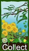 Hidden Insects screenshot 2