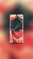 Rose Wallpaper ポスター