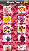 Flowers Frames Camera 스크린샷 6