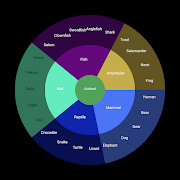 Mind Map 5 স্ক্রিনশট 5