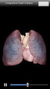 Cardiological screenshot 2