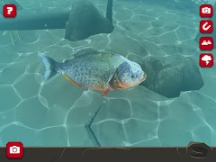 Legendary Creatures captura de pantalla 1