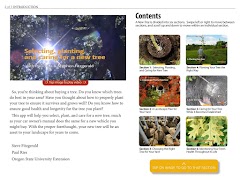 برنامهنما A New Tree عکس از صفحه