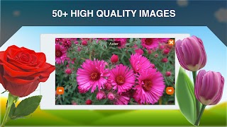 الزهور البطاقات التعليمية تصوير الشاشة 1