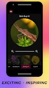 برنامه‌نما Insects Under Microscope عکس از صفحه